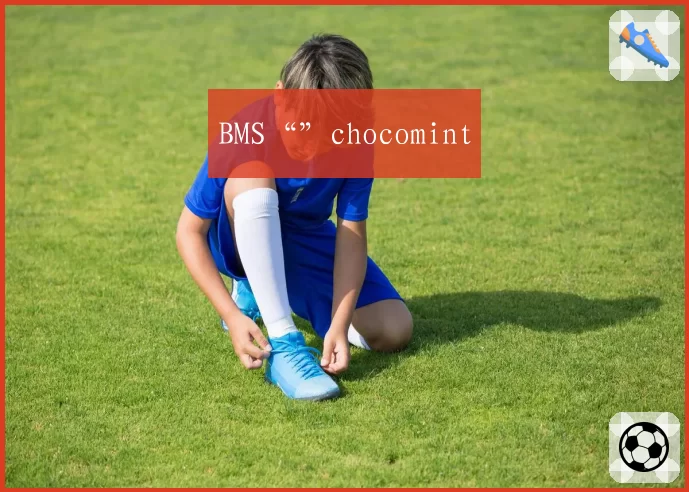 BMS“”chocomint