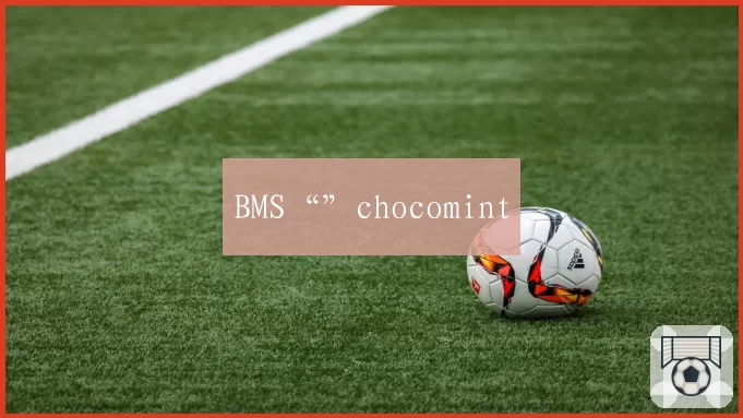 BMS“”chocomint
