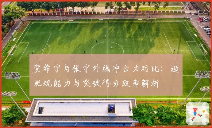 贺希宁与张宁外线冲击力对比：造犯规能力与突破得分效率解析