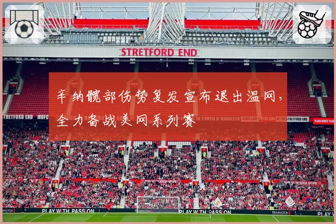 辛纳髋部伤势复发宣布退出温网，全力备战美网系列赛