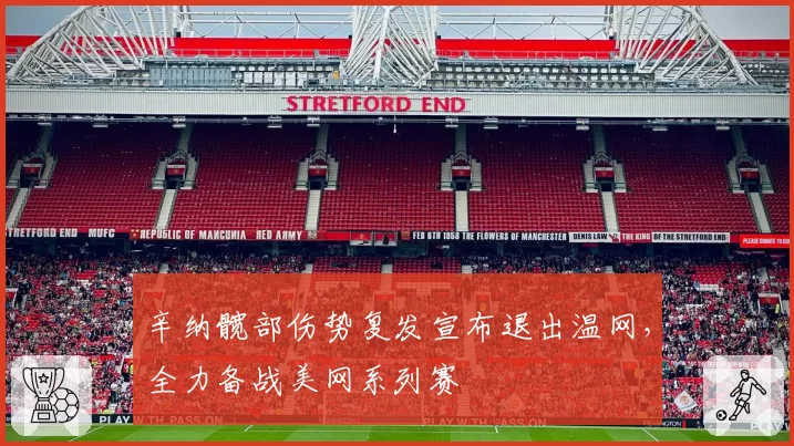 辛纳髋部伤势复发宣布退出温网，全力备战美网系列赛